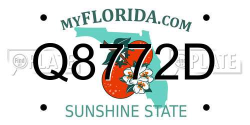 Q8772D Florida License Plate