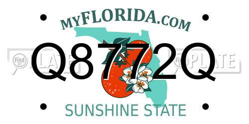 Q8772Q Florida License Plate