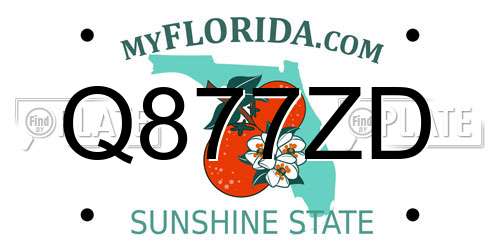 Q877ZD Florida License Plate