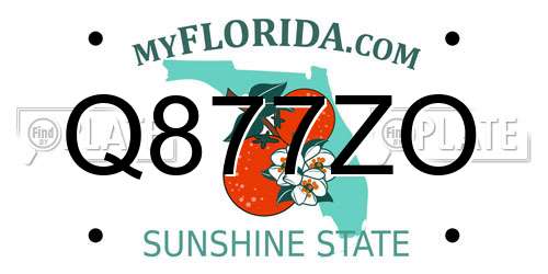 Q877ZO Florida License Plate