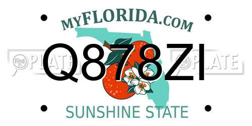 Q878ZI Florida License Plate