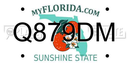 Q879DM Florida License Plate