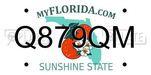 Q879QM Florida License Plate