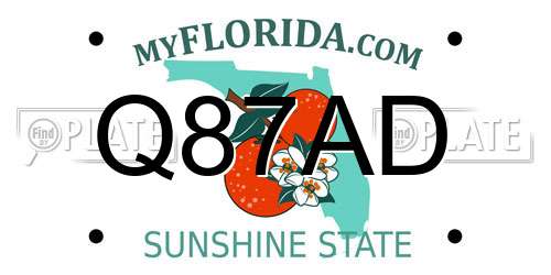 Q87AD Florida License Plate