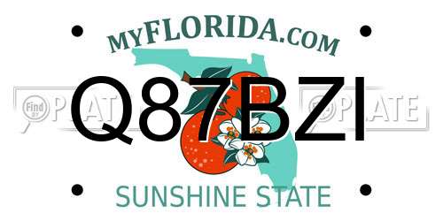 Q87BZI Florida License Plate