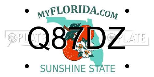 Q87DZ Florida License Plate