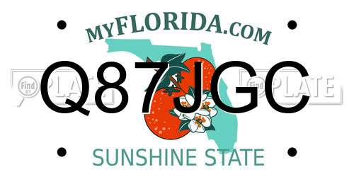 Q87JGC Florida License Plate