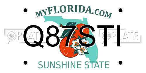 Q87STI Florida License Plate