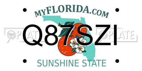 Q87SZI Florida License Plate