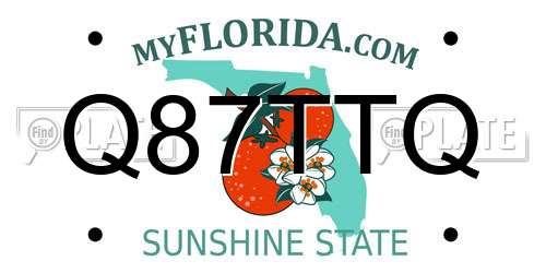 Q87TTQ Florida License Plate