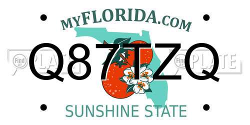 Q87TZQ Florida License Plate
