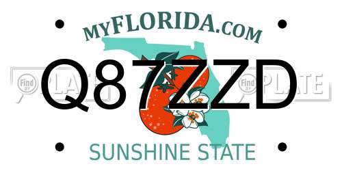Q87ZZD Florida License Plate