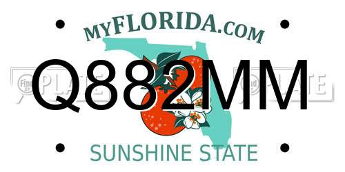 Q882MM Florida License Plate
