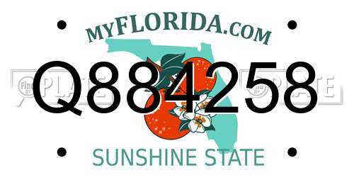 Q884258 Florida License Plate