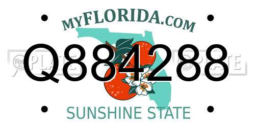 Q884288 Florida License Plate