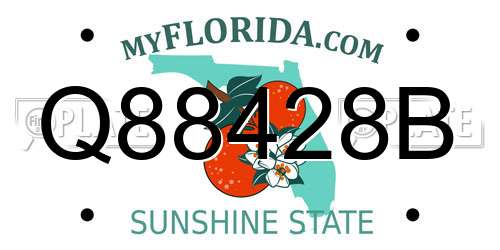 Q88428B Florida License Plate