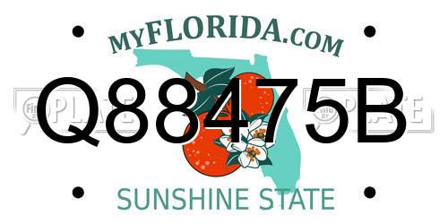 Q88475B Florida License Plate