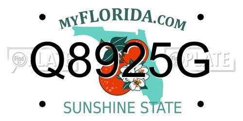 Q8925G Florida License Plate