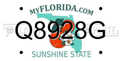 Q8928G Florida License Plate