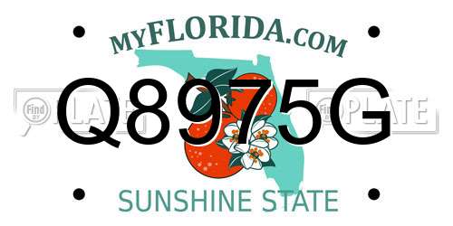 Q8975G Florida License Plate
