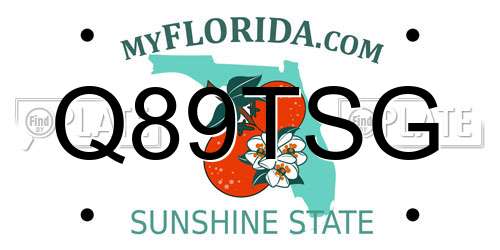 Q89TSG Florida License Plate