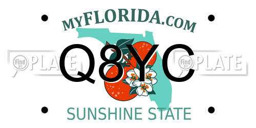 Q8YC Florida License Plate