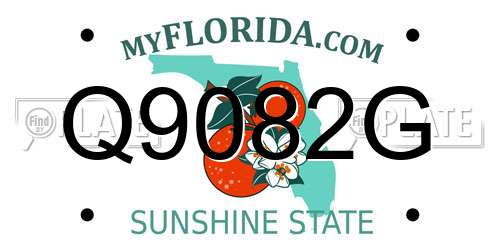 Q9082G Florida License Plate