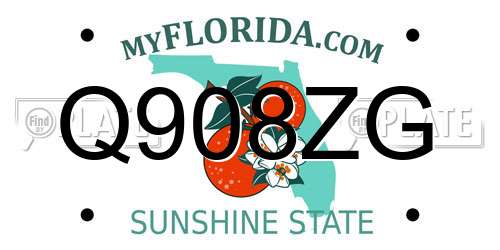 Q908ZG Florida License Plate