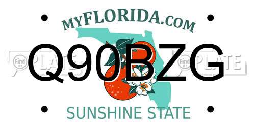 Q90BZG Florida License Plate