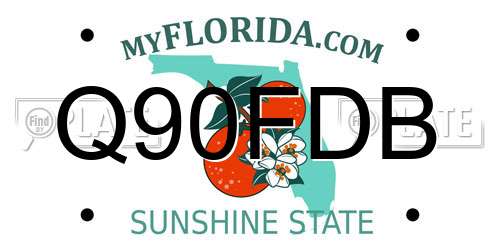 Q90FDB Florida License Plate