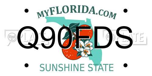 Q90FDS Florida License Plate