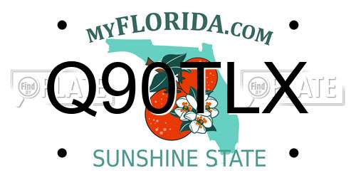 Q90TLX Florida License Plate