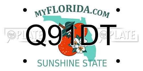 Q91DT Florida License Plate