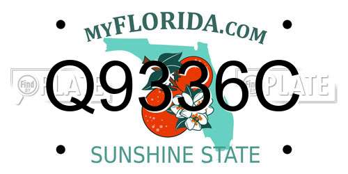 Q9336C Florida License Plate