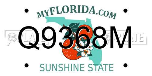 Q9368M Florida License Plate
