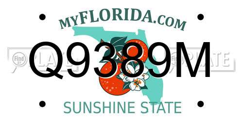 Q9389M Florida License Plate