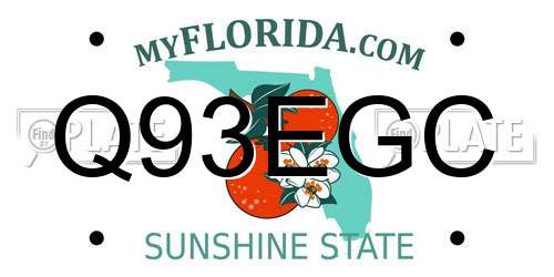 Q93EGC Florida License Plate
