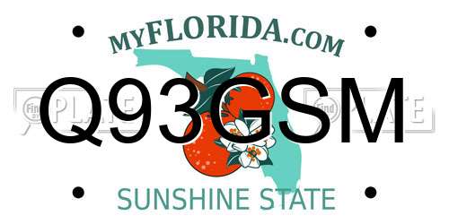 Q93GSM Florida License Plate