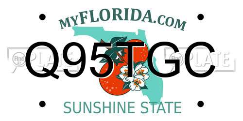 Q95TGC Florida License Plate