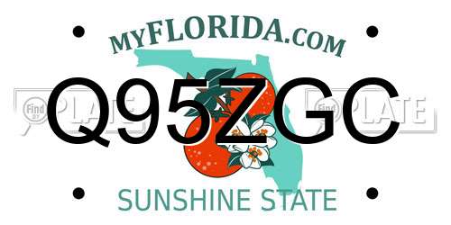 Q95ZGC Florida License Plate