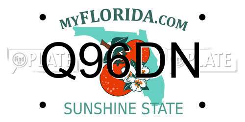 Q96DN Florida License Plate