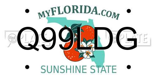 Q99LDG Florida License Plate
