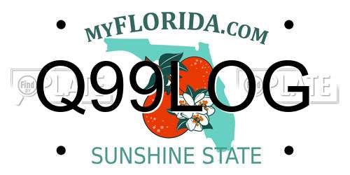 Q99LOG Florida License Plate