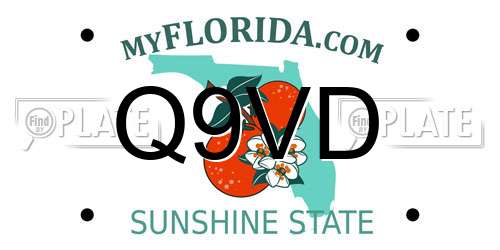 Q9VD Florida License Plate