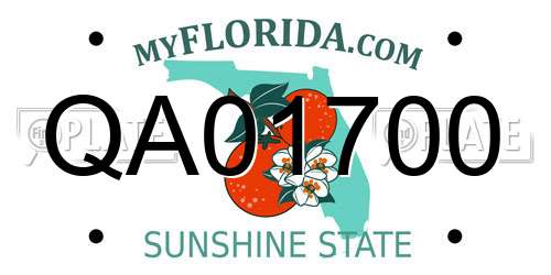QA01700 Florida License Plate