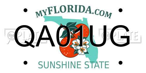 QA01UG Florida License Plate