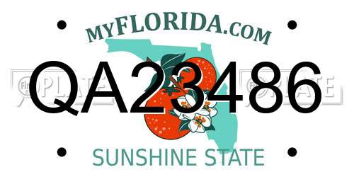 QA23486 Florida License Plate