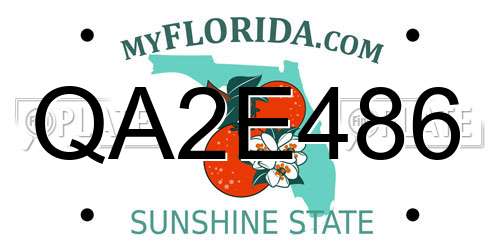 QA2E486 Florida License Plate