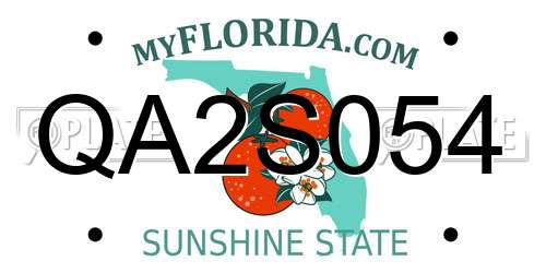 QA2S054 Florida License Plate