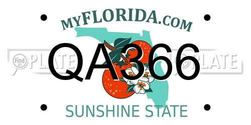 QA366 Florida License Plate